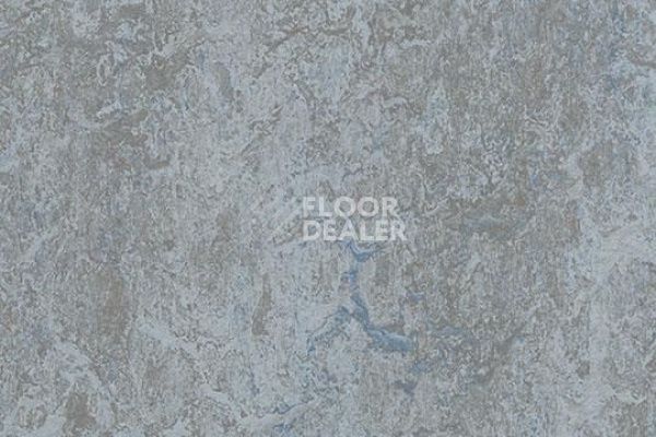 Линолеум Marmoleum Decibel on Order 305335 dove blue фото 1 | FLOORDEALER